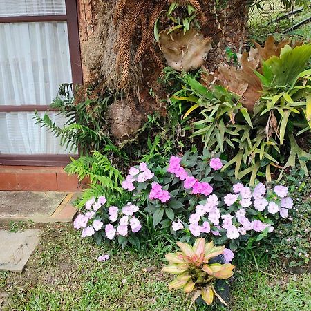 Afonso  Sitio Mae Terra酒店 外观 照片