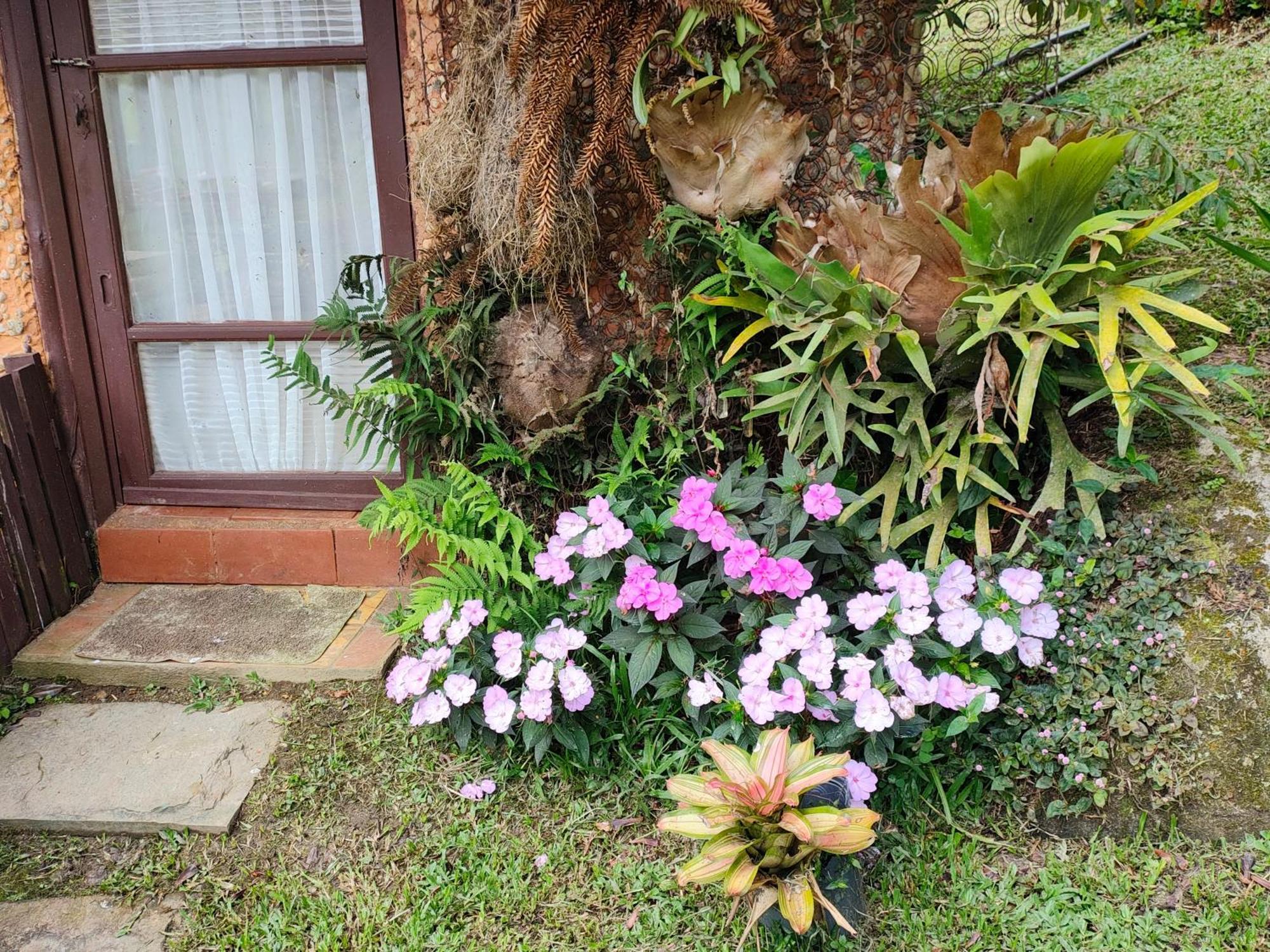 Afonso  Sitio Mae Terra酒店 外观 照片